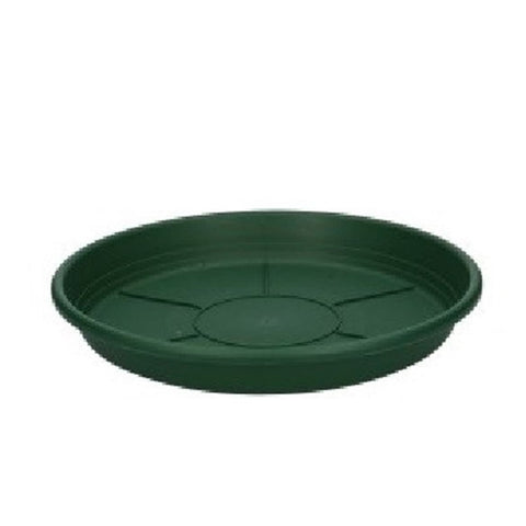 Plastic Watering Tray / Saucer - Sprouts of Bristol