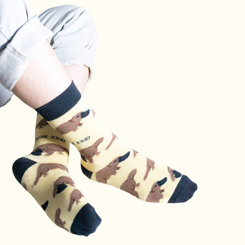 Platypus Bamboo Socks - Sprouts of Bristol