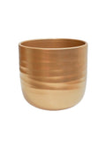 Poinsettia Ripple Gold Planter - Sprouts of Bristol