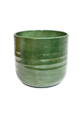 Poinsettia Ripple Green Planter - Sprouts of Bristol
