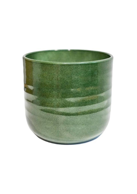 Poinsettia Ripple Green Planter - Sprouts of Bristol