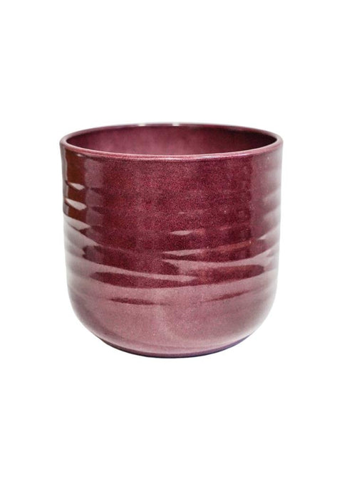 Poinsettia Ripple Red Planter - Sprouts of Bristol