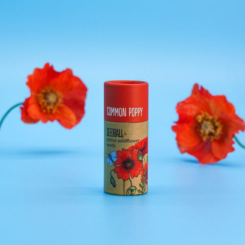 Poppy Wildflower Seedball Tubes - Sprouts of Bristol