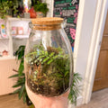 Potion Bottle - Bioactive Terrarium - Sprouts of Bristol