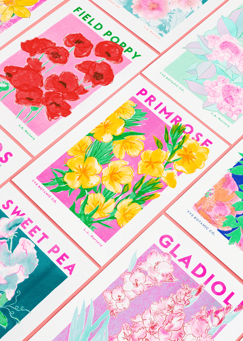 Primrose Flower Risograph Print - Sprouts of Bristol