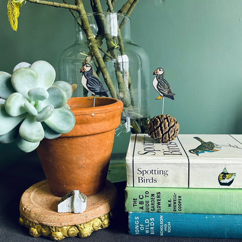 Puffin Plant Pot Companions  - Sprouts of Bristol