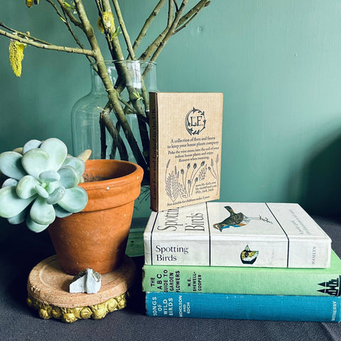 Puffin Plant Pot Companions  - Sprouts of Bristol