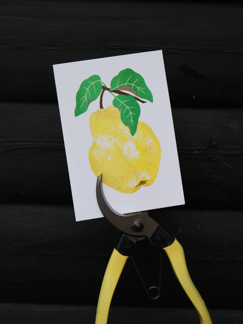 Quince Grow Greetings Card - Sprouts of Bristol