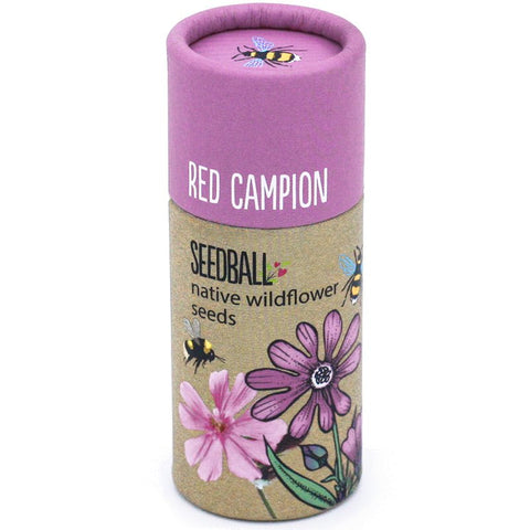 Red Campion Wildflower Seedball Tubes - Sprouts of Bristol