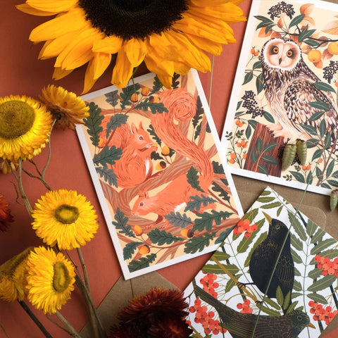 Red Squirrels | Everyday greetings card | Wildlife, nature - Sprouts of Bristol