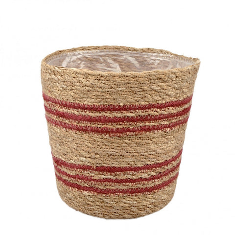 Red Stripe Basket Planter - Sprouts of Bristol