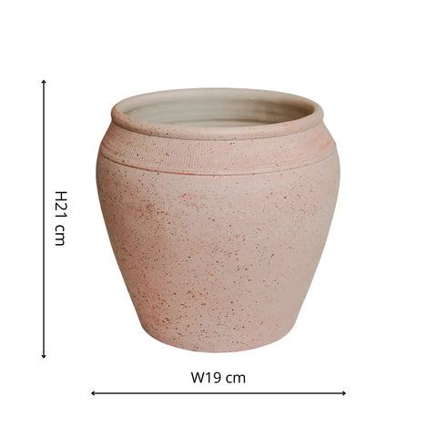 Rhea Terracotta Planter - Sprouts of Bristol