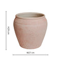 Rhea Terracotta Planter - Sprouts of Bristol