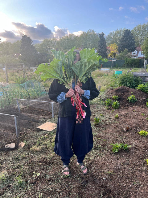 Rhubarb Grow Greetings Card - Sprouts of Bristol
