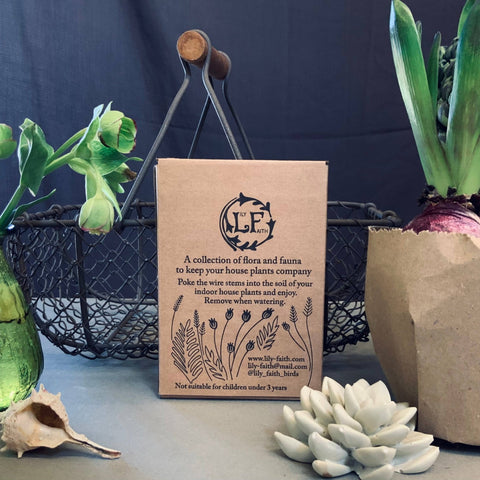 Robin Plant Pot Companions - Sprouts of Bristol