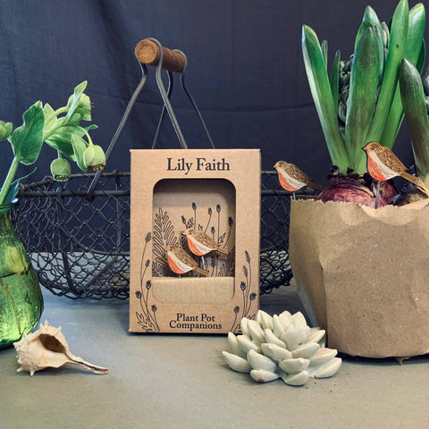 Robin Plant Pot Companions - Sprouts of Bristol