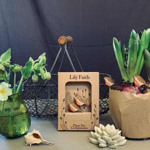 Robin Plant Pot Companions - Sprouts of Bristol