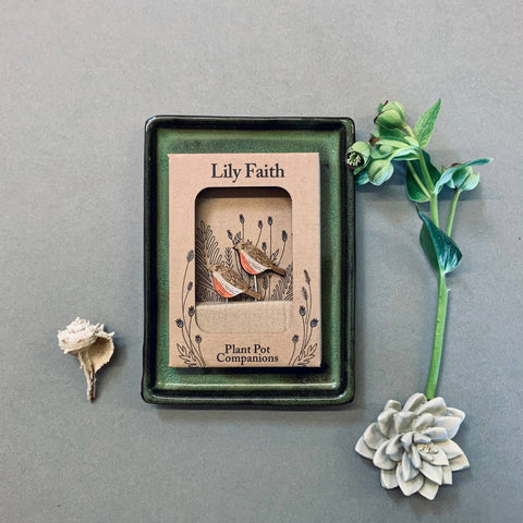 Robin Plant Pot Companions - Sprouts of Bristol