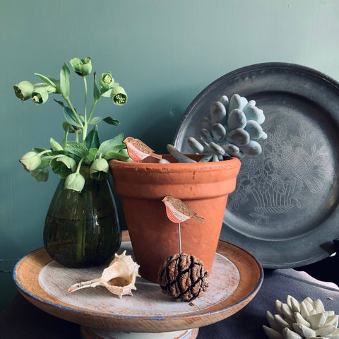 Robin Plant Pot Companions - Sprouts of Bristol