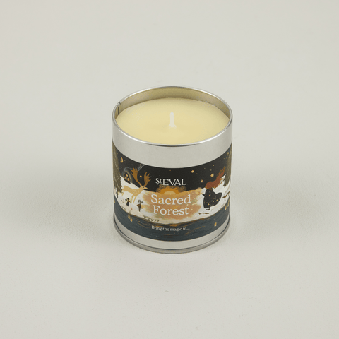 Sacred Forest Scented Christmas Tin Candle - Sprouts of Bristol