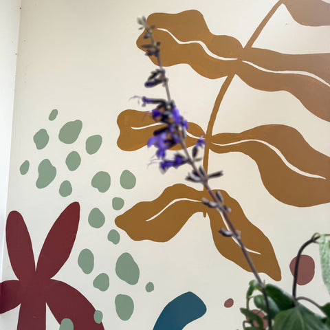 Salvia guaranitica 'Black and Bloom' - Sprouts of Bristol