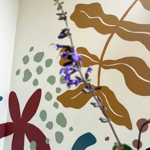 Salvia guaranitica 'Black and Bloom' - Sprouts of Bristol