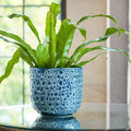 Sapphire Reactive Glaze Planter - Sprouts of Bristol