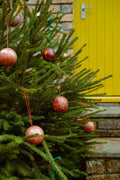 Scarlet Red and Blue Bauble - Sprouts of Bristol