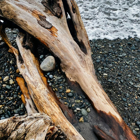 Sea Moss & Driftwood Fragranced Coloured Pillar - Sprouts of Bristol