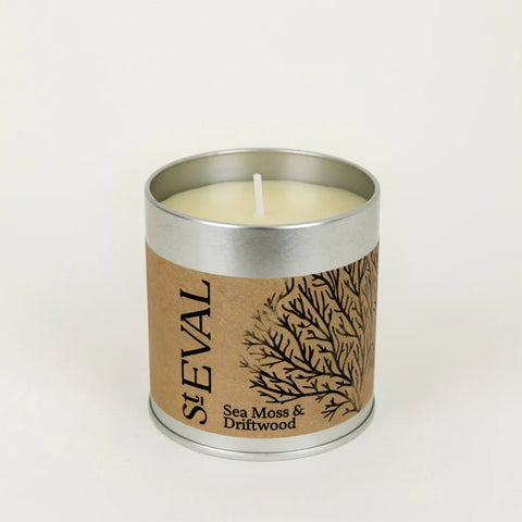 Sea Moss & Driftwood Scented Tin Candle - Sprouts of Bristol