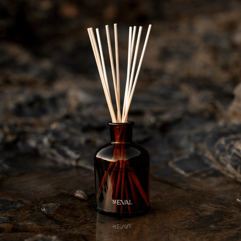 Sea Salt Reed Diffuser – Sprouts of Bristol