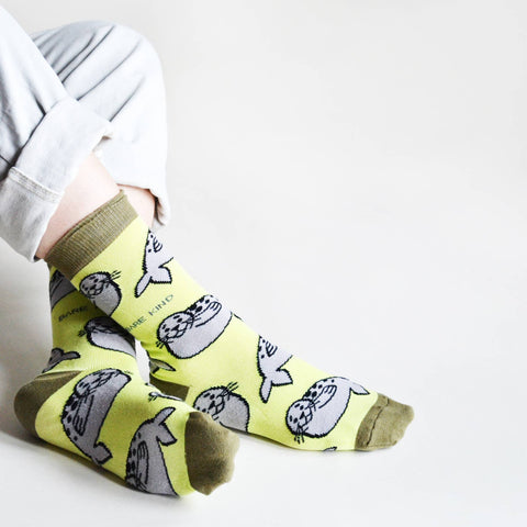 Seal Socks | Bamboo Socks | Summery Green Socks - Sprouts of Bristol