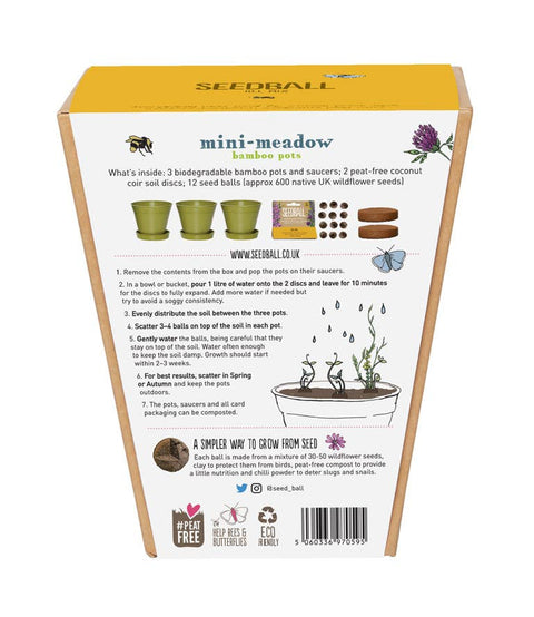 Seedball Meadow Pots - Bee Mix - Sprouts of Bristol