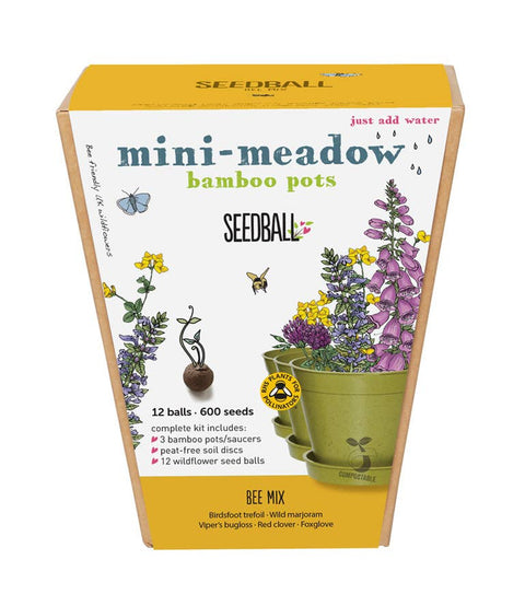 Seedball Meadow Pots - Bee Mix - Sprouts of Bristol