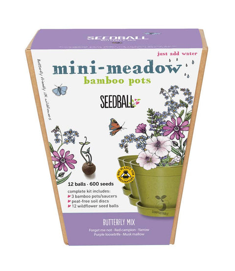 Seedball Meadow Pots - Butterfly Mix - Sprouts of Bristol