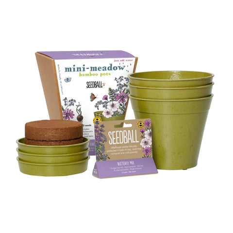 Seedball Meadow Pots - Butterfly Mix - Sprouts of Bristol