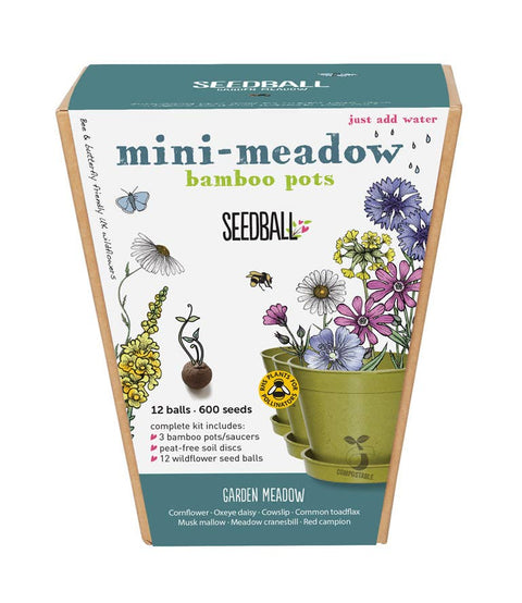 Seedball Meadow Pots - Garden Meadow - Sprouts of Bristol