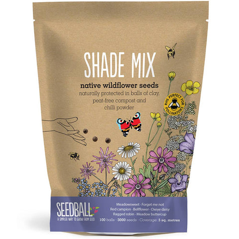 Shade Mix - Wildflower Grab Bag - Sprouts of Bristol