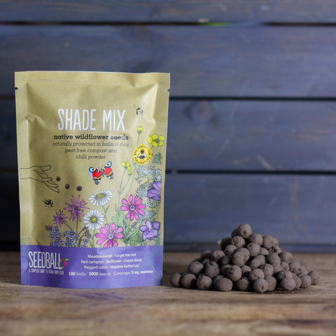 Shade Mix - Wildflower Grab Bag - Sprouts of Bristol