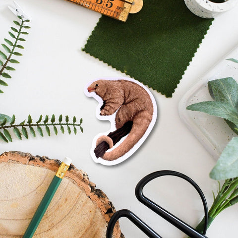 Silky Anteater Amazon Wildlife Vinyl Sticker [Beneath the Canopy RHS Collab] - Sprouts of Bristol