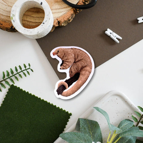 Silky Anteater Amazon Wildlife Vinyl Sticker [Beneath the Canopy RHS Collab] - Sprouts of Bristol