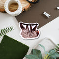 Sloth Wildlife Vinyl Sticker [Beneath the Canopy RHS Collab] - Sprouts of Bristol