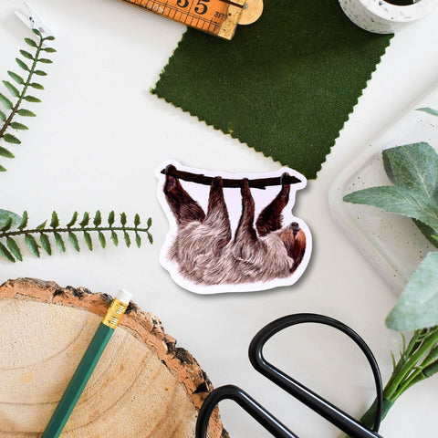 Sloth Wildlife Vinyl Sticker [Beneath the Canopy RHS Collab] - Sprouts of Bristol