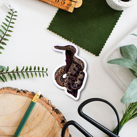 Snake Wildlife Vinyl Sticker [Beneath the Canopy RHS Collab] - Sprouts of Bristol