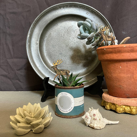 Stag Plant Pot Companions - Sprouts of Bristol