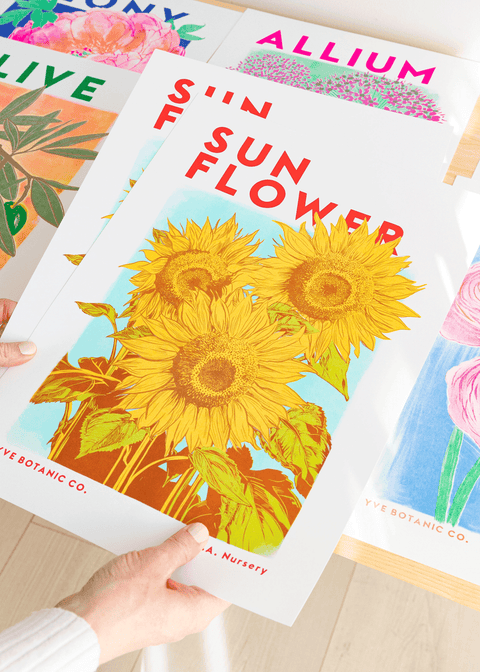 Sunflower Botanical Risograph Print - Sprouts of Bristol