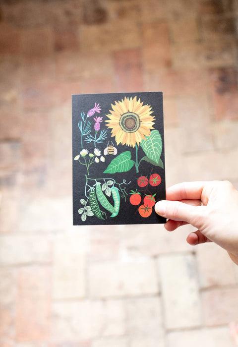 Sunflower Plot Greetings Card - Sprouts of Bristol