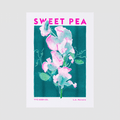 Sweet Pea Flower Risograph Print - Sprouts of Bristol