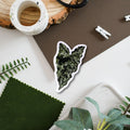 Syngonium ‘Mojito’ Tropical Houseplant Vinyl Sticker [Beneath the Canopy RHS Collab] - Sprouts of Bristol