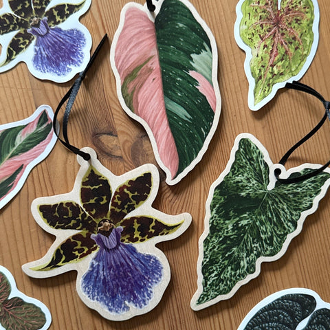 Syngonium ‘Mojito’Wooden Decoration [Beneath the Canopy RHS Collab] - Sprouts of Bristol